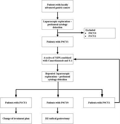 Study protocol of a phase II clinical trial evaluating the efficacy of neoadjuvant intraperitoneal and systemic albumin-bound paclitaxel combined with camrelizumab and S-1 in the treatment of patients with exfoliative cell-positive gastric cancer